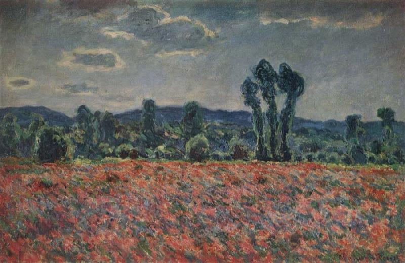 Claude Monet Poppy Field oil painting picture